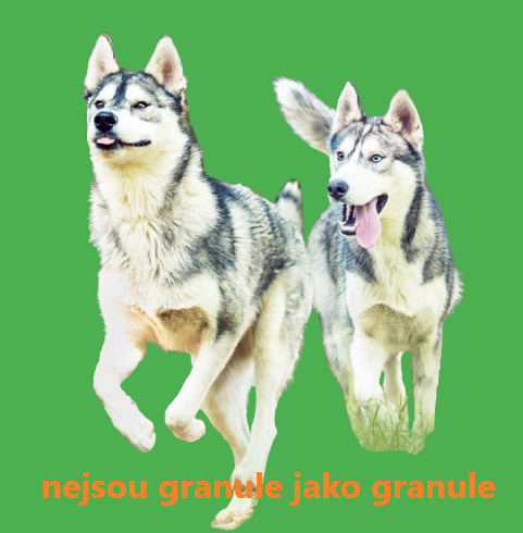 Život se psem