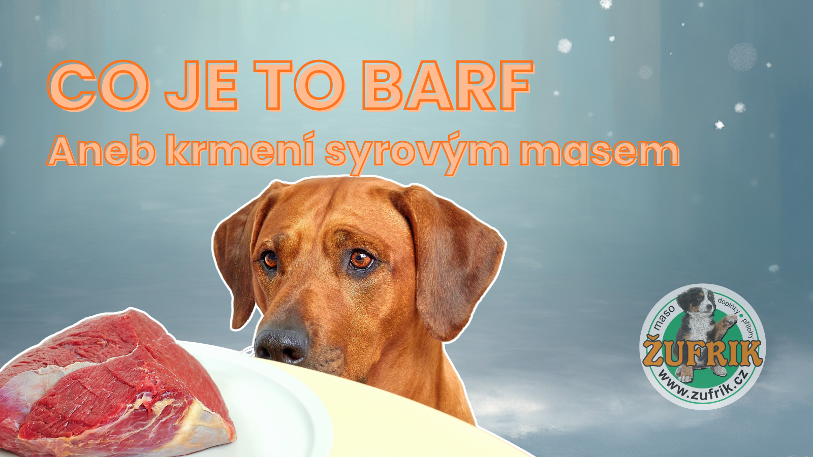 Jak na BARF