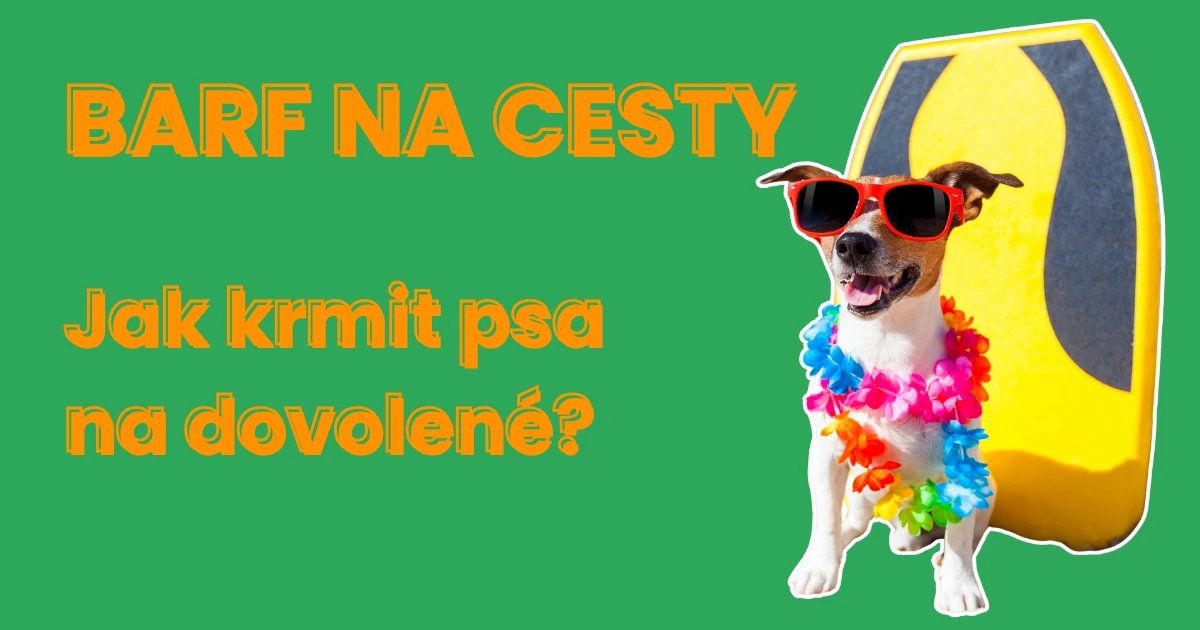 Barf na cesty aneb 3 způsoby jak krmit psa během dovolené