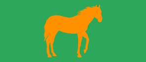 Koňské