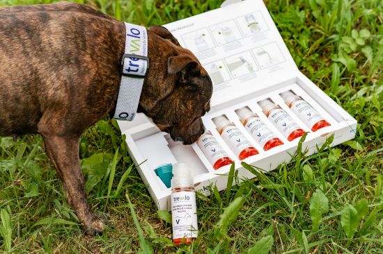 Trevalo - Analýza střevního mikrobiomu