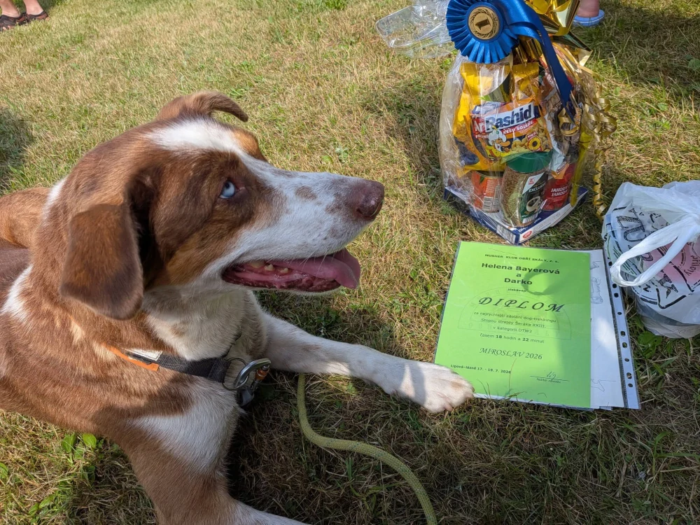 ENERGY SNACK - ULTRA MARATON 24+