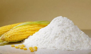 MALTODEXTRIN DE 15 - Rychlá energie pro psy 1 kg