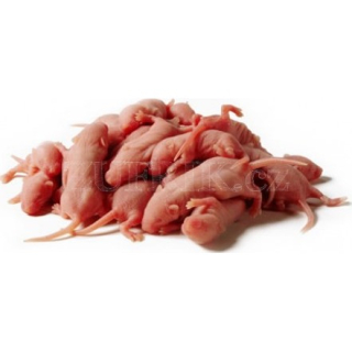 MYŠI HOLÁTKA 1 - 3 g  10 ks